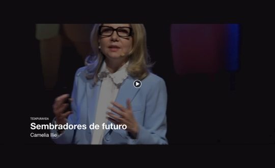 Ted Talk by Camelia Ilie Cardoza